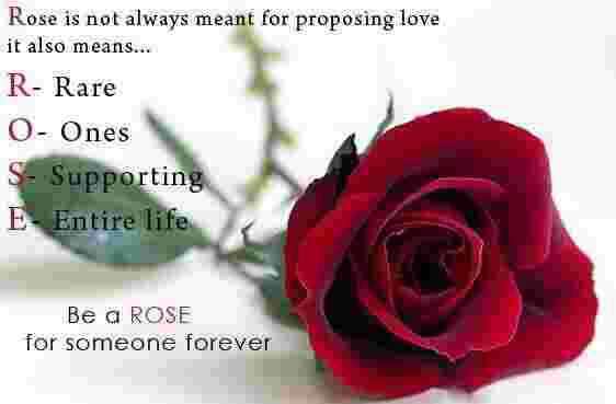 Happy Rose Day Wishes Message