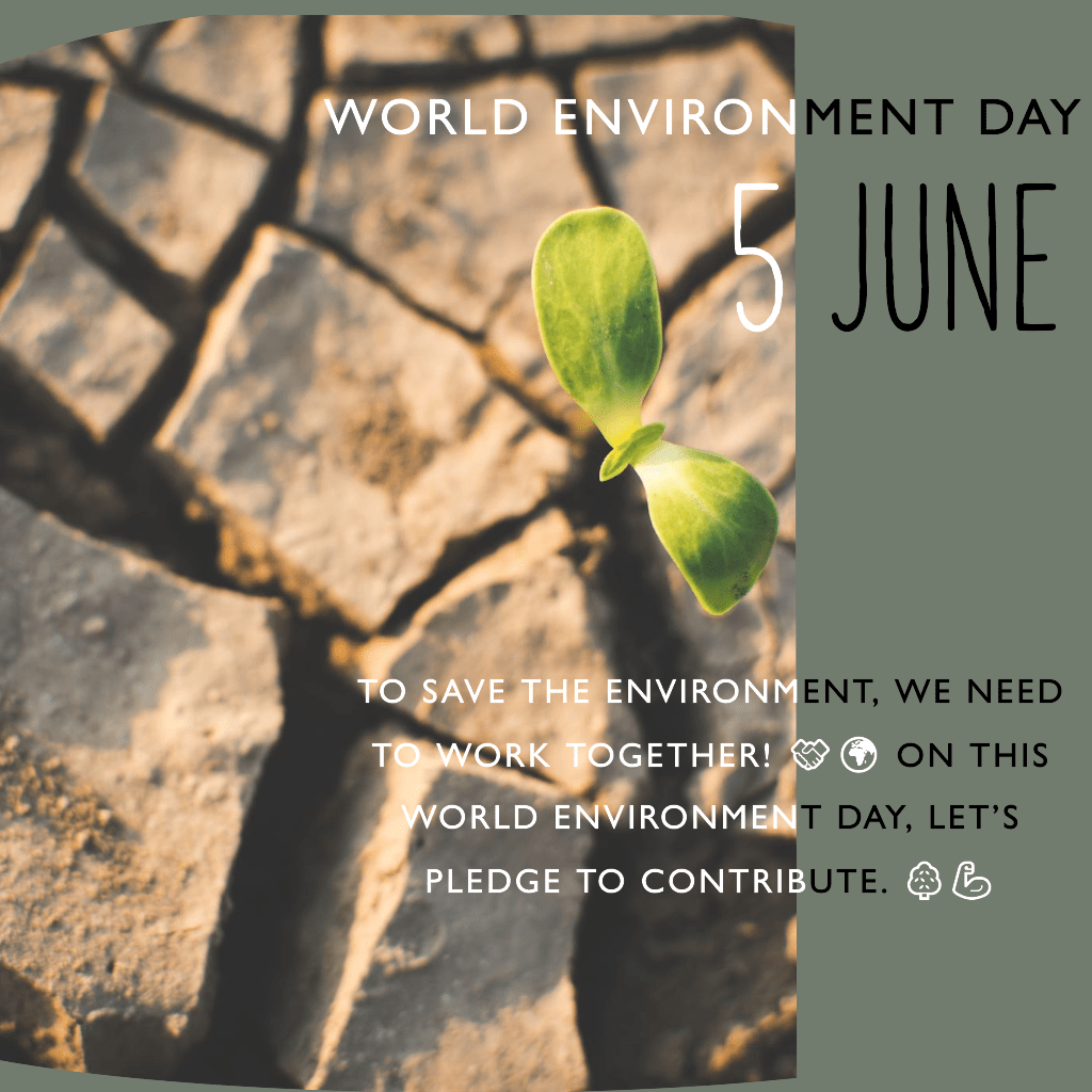 Fall Environmental Message World Environment Day Greeting Quote, Status Messages with images In ...