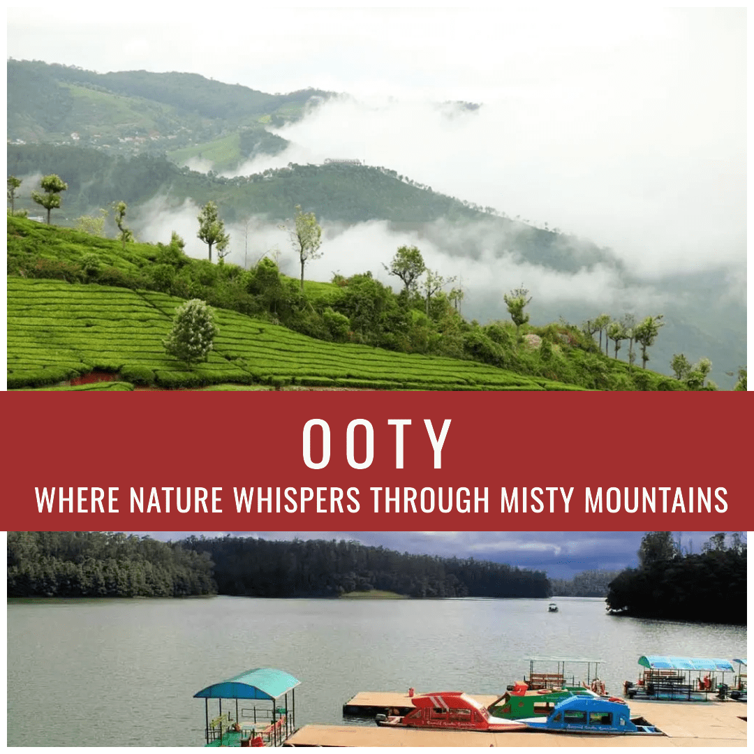 Top 10 Must-Visit Places in Ooty for Family & Couples: A Complete ...